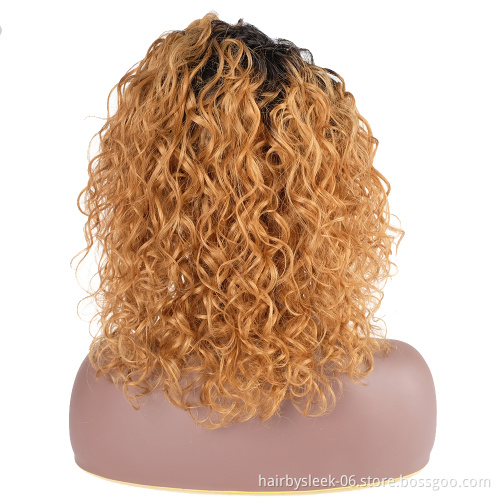 Wholesale Hot Selling Afro Kinky Curly Brazilian Remy 100% Hair Side Part Lace Wig Human Hair Wigs All Color Wig For Black Woman